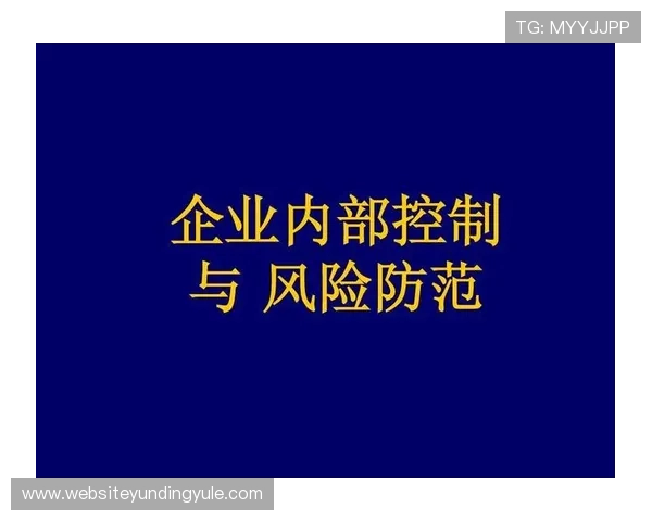 澳门云顶国际平台怎么样：财务安全措施与风险控制策略全面解析